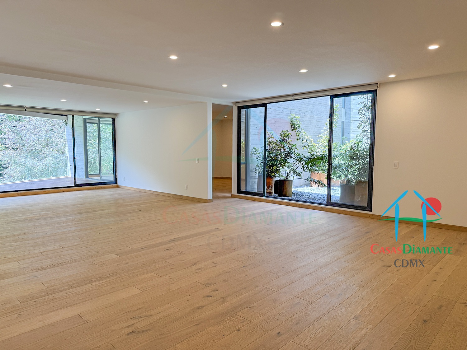 Las Aguilas Ursus AJA Las Aguilas Ursus AJA